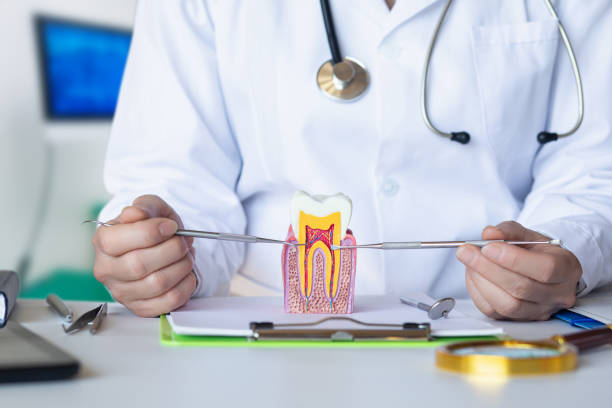 Best Emergency Treatment for Toothache in Bryant, AR